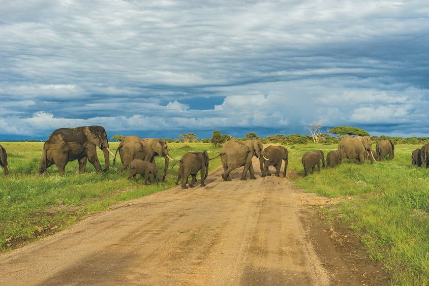Travel Insurance for Tanzania