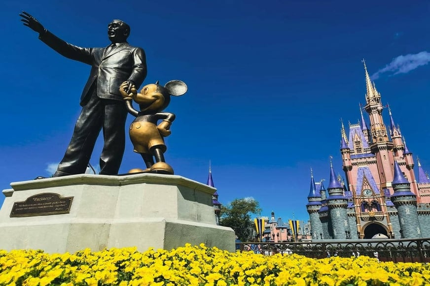 Should You Get Travel Insurance for Disney World?