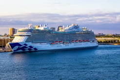Do You Need Travel Insurance for a Princess Cruise?