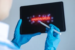 Does Travel Insurance Cover Hantavirus?